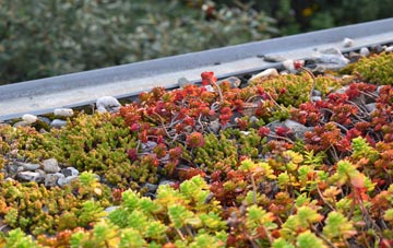 the cost of Welsh Hook green roof installation