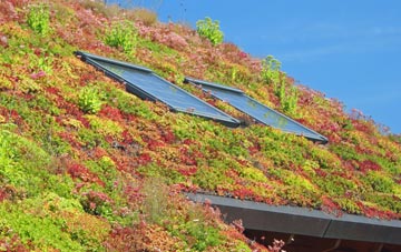 Welsh Hook living roof systems