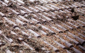 Welsh Hook roof cleaning companies