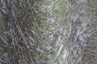 Welsh Hook fibreglass roof work